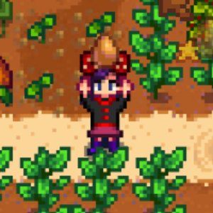 Meet your Posher, Ivy